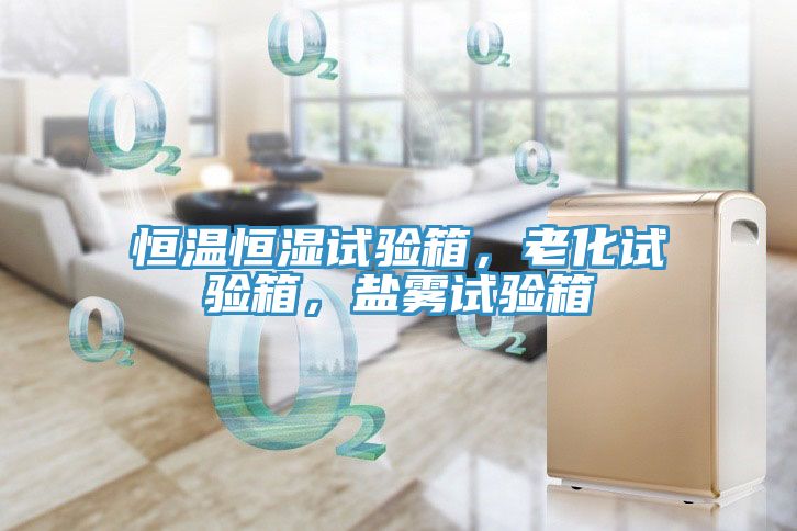 恒溫恒濕試驗箱，老化試驗箱，鹽霧試驗箱