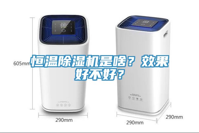 恒溫除濕機是啥？效果好不好？