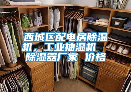 西城區(qū)配電房除濕機(jī),工業(yè)抽濕機(jī) 除濕器廠家 價(jià)格