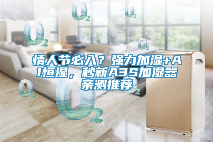 情人節必入?強力加濕+AI恒濕,秒新A3S加濕器親測推薦