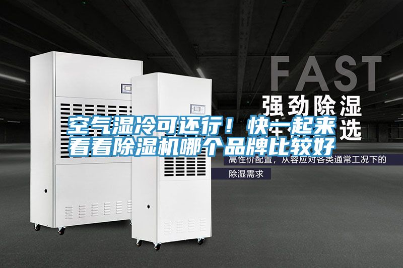 空氣濕冷可還行！快一起來看看除濕機哪個品牌比較好