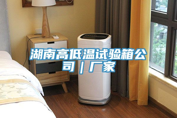湖南高低溫試驗(yàn)箱公司|廠家