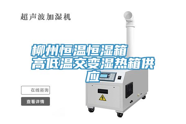 柳州恒溫恒濕箱 高低溫交變濕熱箱供應