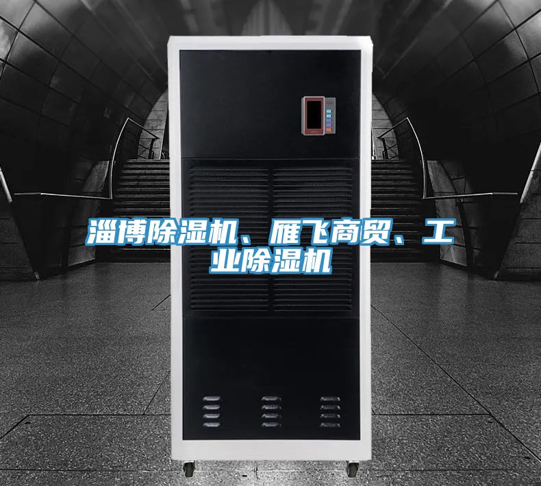 淄博除濕機(jī)、雁飛商貿(mào)、工業(yè)除濕機(jī)