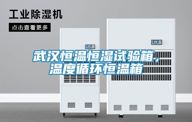 武漢恒溫恒濕試驗箱,溫度循環恒溫箱