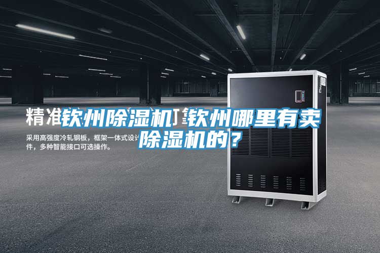 欽州除濕機(jī) 欽州哪里有賣(mài)除濕機(jī)的？