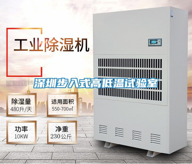 深圳步入式高低溫試驗室