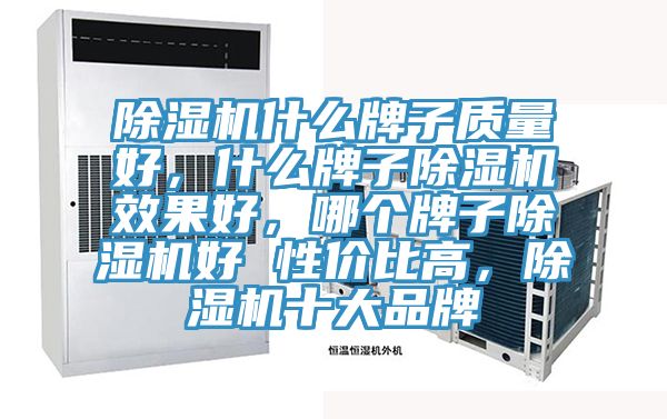 除濕機什么牌子質量好，什么牌子除濕機效果好，哪個牌子除濕機好 性價比高，除濕機十大品牌