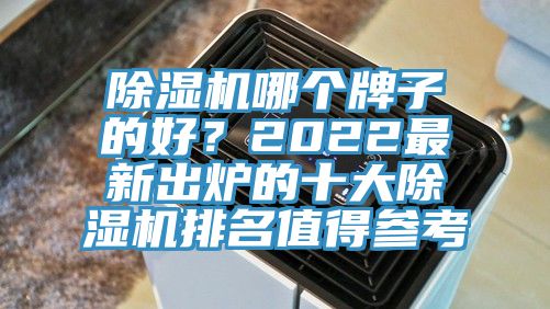 除濕機哪個牌子的好？2022最新出爐的十大除濕機排名值得參考