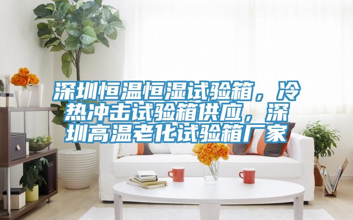 深圳恒溫恒濕試驗箱,冷熱沖擊試驗箱供應(yīng),深圳高溫老化試驗箱廠家
