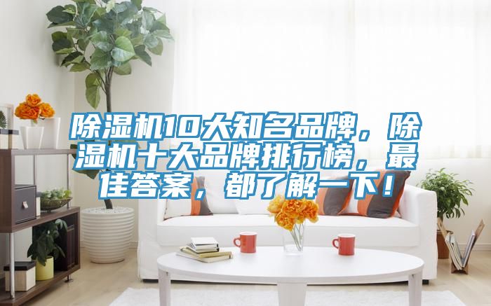 除濕機(jī)10大知名品牌,除濕機(jī)十大品牌排行榜,最佳答案,都了解一下!