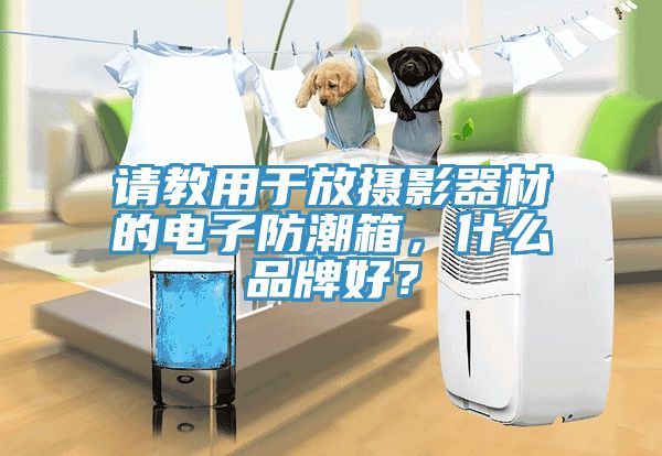 請教用于放攝影器材的電子防潮箱，什么品牌好？