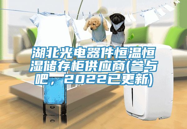 湖北光電器件恒溫恒濕儲存柜供應商(參與吧，2022已更新)