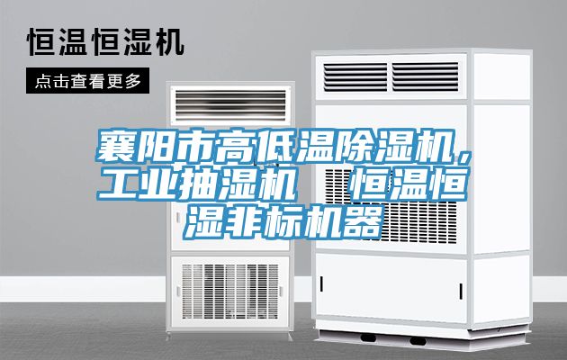 襄陽市高低溫除濕機,工業抽濕機 恒溫恒濕非標機器