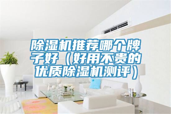 除濕機推薦哪個牌子好(好用不貴的優質除濕機測評)