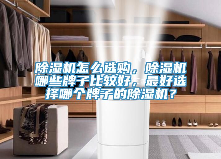 除濕機(jī)怎么選購(gòu)，除濕機(jī)哪些牌子比較好，最好選擇哪個(gè)牌子的除濕機(jī)？