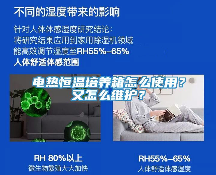 電熱恒溫培養(yǎng)箱怎么使用?又怎么維護(hù)?