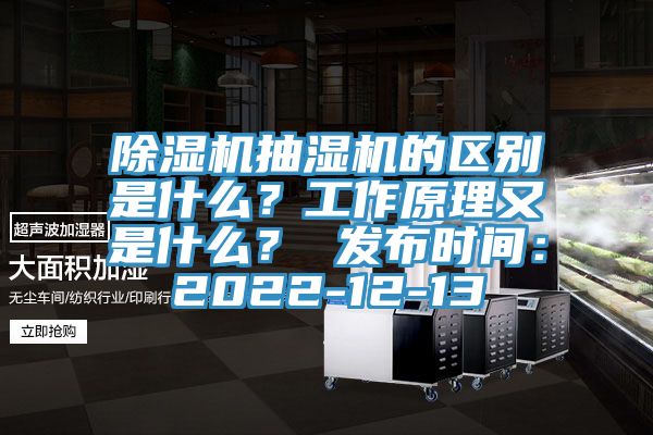 除濕機抽濕機的區別是什么？工作原理又是什么？ 發布時間：2022-12-13