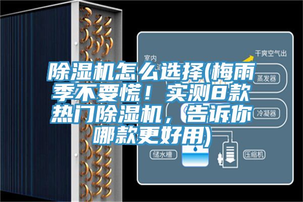 除濕機(jī)怎么選擇(梅雨季不要慌！實(shí)測(cè)8款熱門(mén)除濕機(jī)，告訴你哪款更好用)