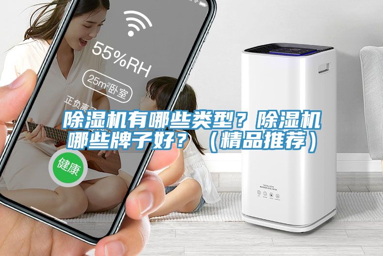 除濕機有哪些類型？除濕機哪些牌子好？（精品推薦）
