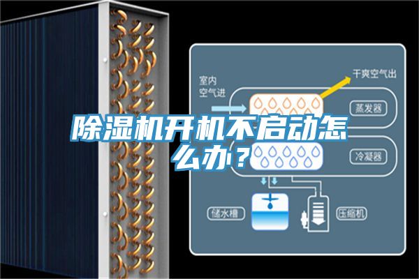 除濕機(jī)開機(jī)不啟動(dòng)怎么辦?